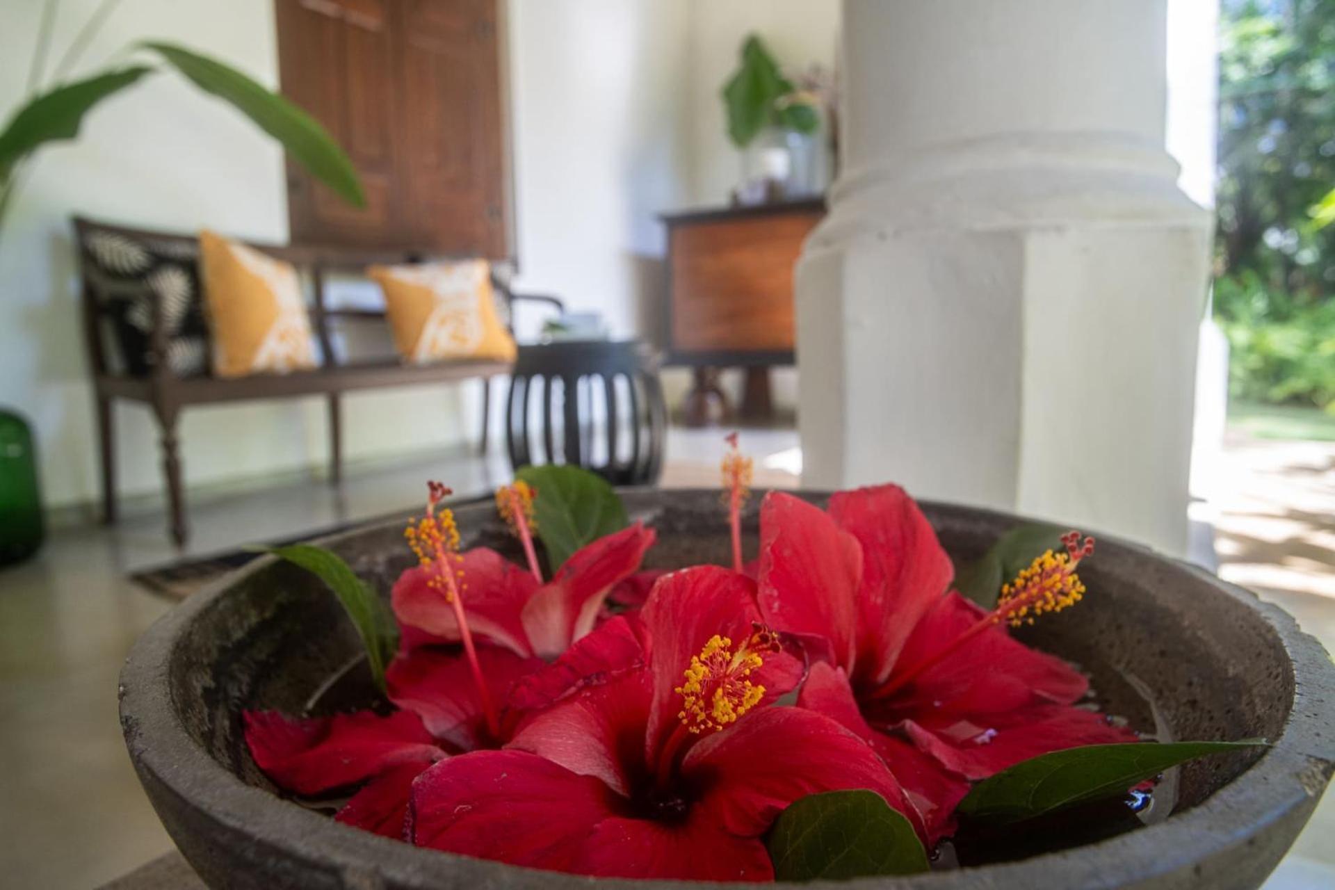Mo River House Luxury Villa Хикадува Екстериор снимка